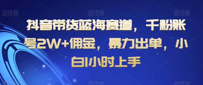 抖音带货蓝海赛道，千粉账号2W+佣金，暴力出单，小白1小时上手【揭秘】-小鹏项目网