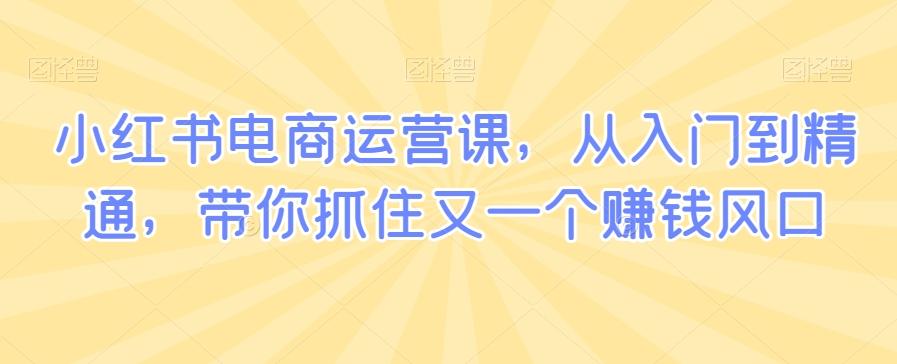小红书电商运营课，从入门到精通，带你抓住又一个赚钱风口-小鹏项目网