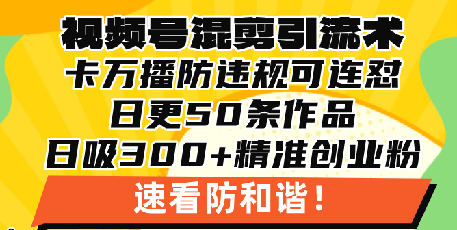 视频号混剪引流技术，500万播放引流17000创业粉，操作简单当天学会-小鹏项目网