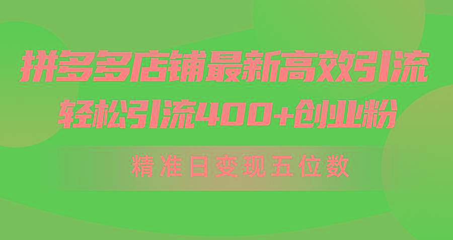 (10041期)拼多多店铺最新高效引流术，轻松引流400+创业粉，精准日变现五位数！-小鹏项目网