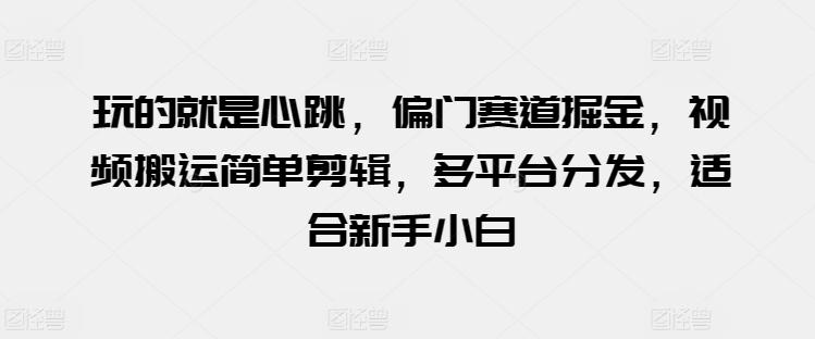 玩的就是心跳，偏门赛道掘金，视频搬运简单剪辑，多平台分发，适合新手小白【揭秘】-小鹏项目网