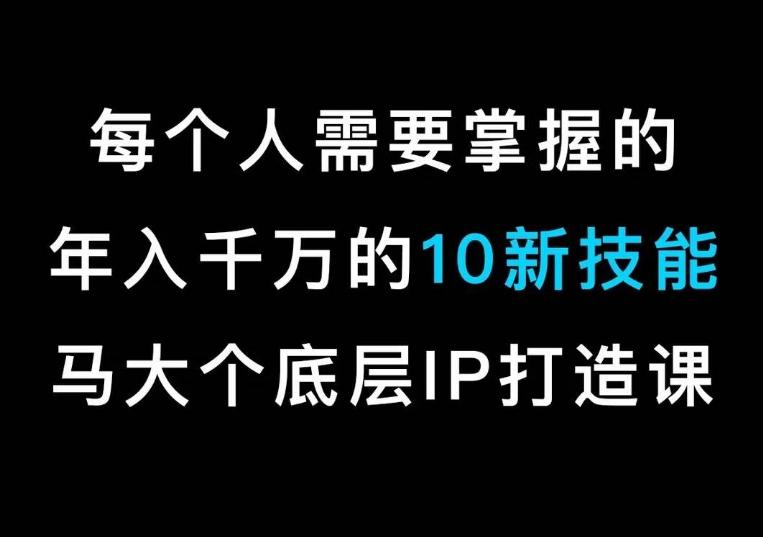 马大个的IP底层逻辑课，​每个人需要掌握的年入千万的10新技能，约会底层IP打造方法！-小鹏项目网