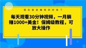 每天观看30分钟视频，一月躺赚1000+美金！保姆级教程，可放大操作【揭秘】-小鹏项目网