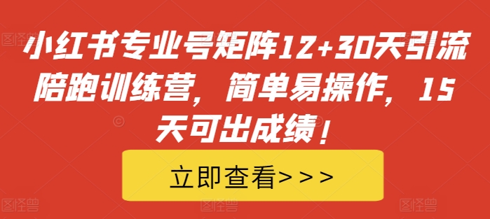 小红书专业号矩阵12+30天引流陪跑训练营，简单易操作，15天可出成绩!-小鹏项目网