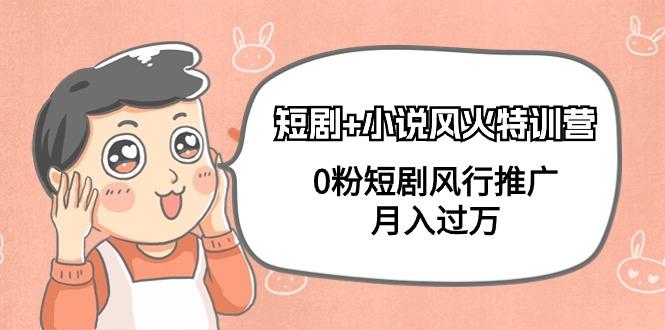 (9374期)短剧+小说风火特训营，0粉短剧风行推广，月入过万(102节课)-小鹏项目网
