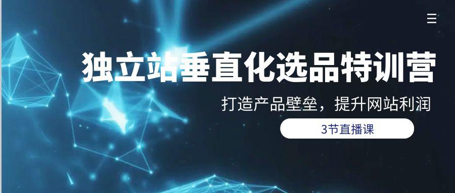 (9925期)独立站-垂直化选品训练营，打造产品壁垒，提升网站利润(3节直播课)-小鹏项目网