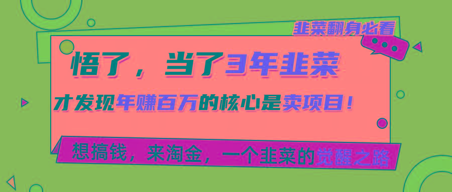悟了，当了3年韭菜，才发现网赚圈年赚100万的核心是卖项目，含泪分享！-小鹏项目网