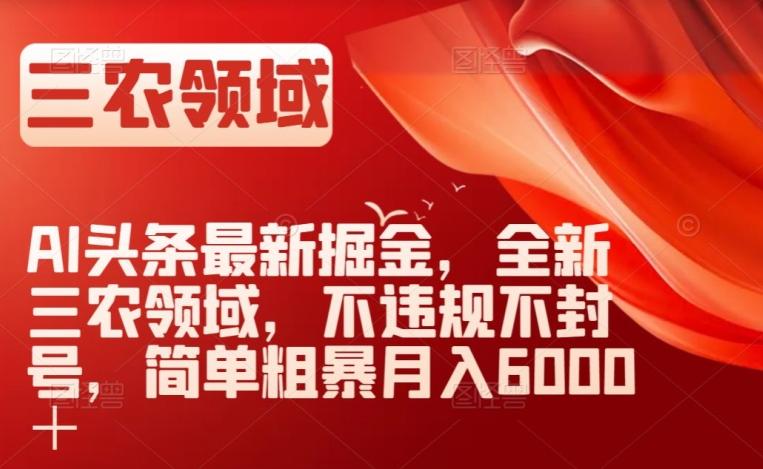AI头条最新掘金，全新三农领域，不违规不封号，简单粗暴月入6000＋【揭秘】-小鹏项目网