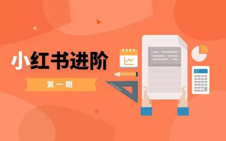 小红书进阶篇，零基础小白实战课，普通人变现的课程-小鹏项目网