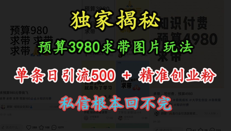 预算3980求带 图片玩法，单条日引流500+精准创业粉，私信根本回不完-小鹏项目网