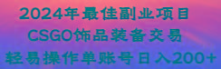 2024年最佳副业项目 CSGO饰品装备交易 轻易操作单账号日入200+-小鹏项目网