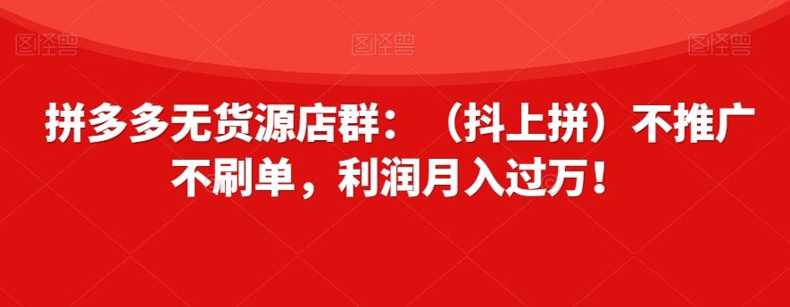 拼多多无货源店群：（抖上拼）不推广不刷单，利润月入过万！【揭秘】-小鹏项目网