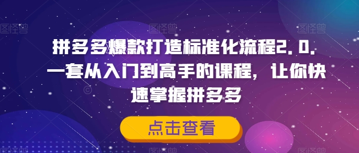 拼多多爆款打造标准化流程2.0，一套从入门到高手的课程，让你快速掌握拼多多-小鹏项目网