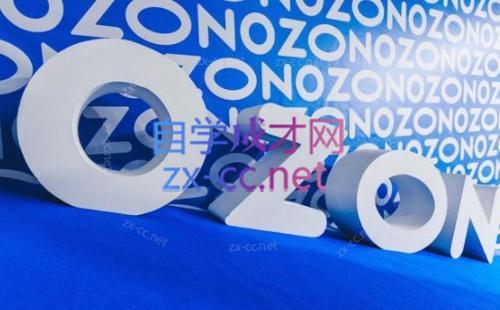 森哥·出海俄罗斯电商实操(2024)-小鹏项目网