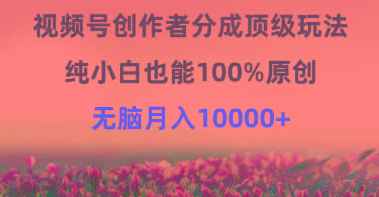 (9608期)视频号创作者分成顶级玩法，纯小白也能100%原创，无脑月入10000+-小鹏项目网
