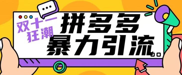 【首发】双十一拼多多暴力引流，日引300+微信-小鹏项目网