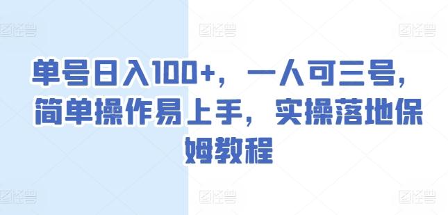 单号日入100+，一人可三号，简单操作易上手，实操落地保姆教程【揭秘】-小鹏项目网