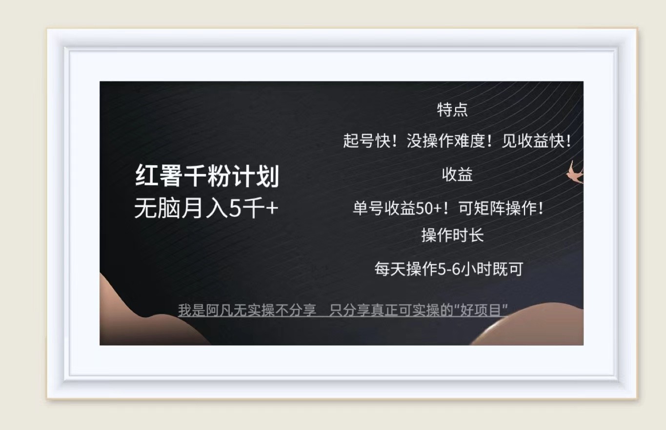 红薯千粉计划无脑月入5千+！既做既赚！-小鹏项目网