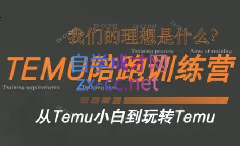 苗苗·拼多多跨境（temu）课程-小鹏项目网