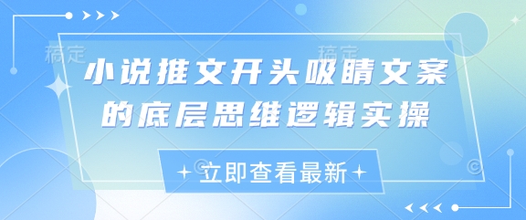 小说推文开头吸睛文案的底层思维逻辑实操-小鹏项目网