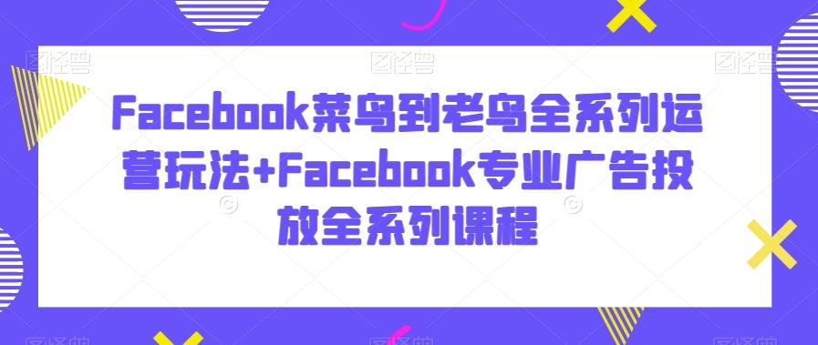 Facebook菜鸟到老鸟全系列运营玩法+Facebook专业广告投放全系列课程-小鹏项目网