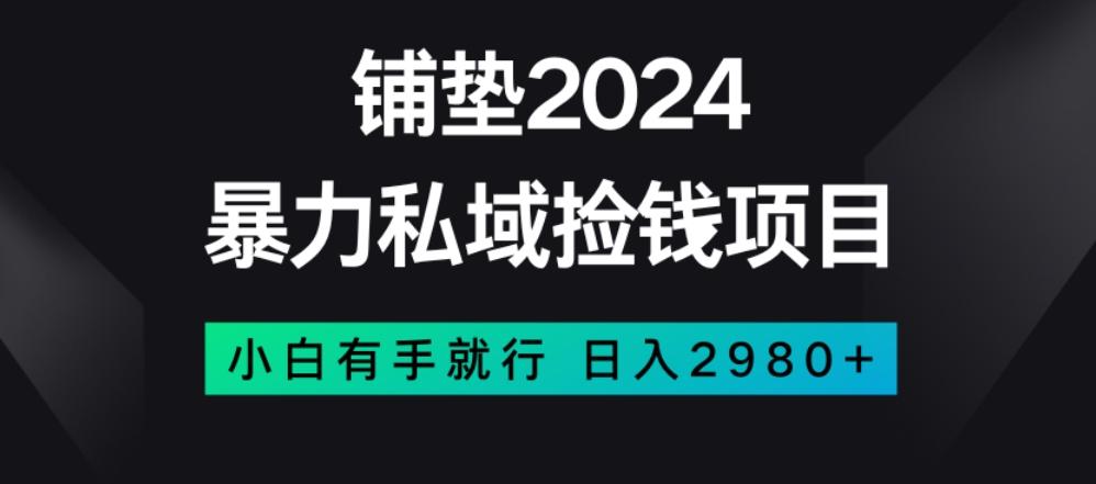 暴力私域捡钱项目，小白无脑操作，日入2980【揭秘】-小鹏项目网