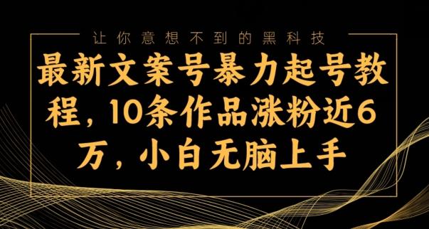 最新文案号暴力起号教程，10条作品涨粉近6万，小白无脑上手-小鹏项目网