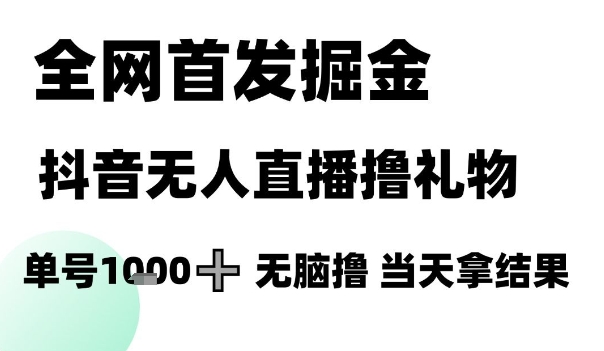 全网首发掘金抖音无人直播撸礼物，单号1k +无脑撸，当天拿结果【揭秘】-小鹏项目网