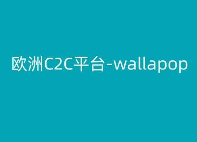 欧洲C2C平台-wallapop-kim跨境电商教程-小鹏项目网