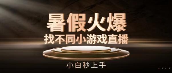 暑假火爆找不同小游戏直播间，小白秒上手【揭秘】-小鹏项目网