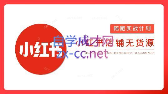 安琪·小红书店铺无货源-小鹏项目网