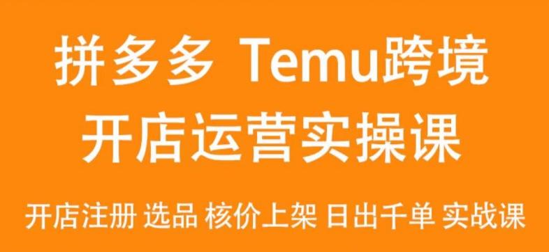 2024Temu最新玩法，Temu跨境开店运营实操课，开店注册/选品/核价上架/日出千单实战课-小鹏项目网