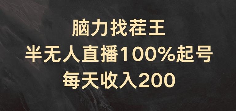 脑力找茬王，半无人直播100%起号，每天收入200+【揭秘】-小鹏项目网