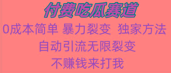 吃瓜付费赛道，暴力无限裂变，0成本，实测日入700+！！！-小鹏项目网