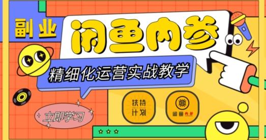 闲鱼精细化运营入门+高阶实战教学，从底层逻辑到轻松变现，多维度玩转闲鱼副业-小鹏项目网