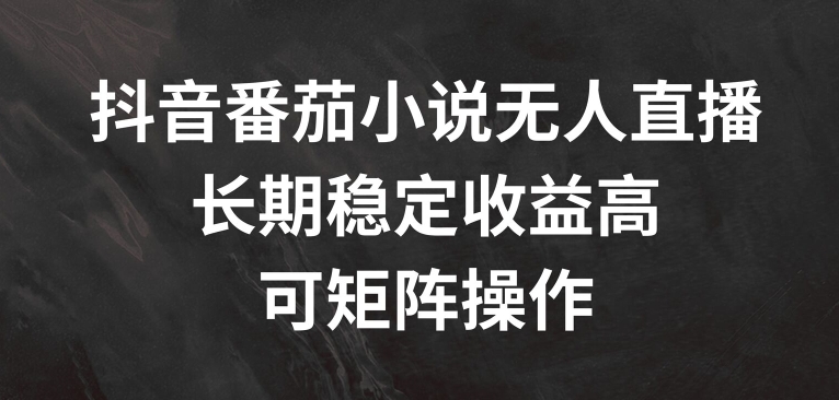 抖音番茄小说无人直播，长期稳定收益高，可矩阵操作【揭秘】-小鹏项目网