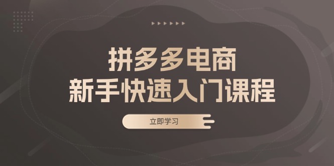 拼多多电商新手快速入门课程：涵盖基础、实战与选款，助力小白轻松上手-小鹏项目网