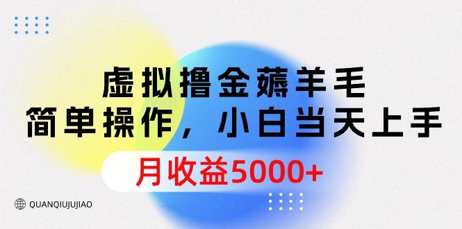 (9864期)虚拟撸金薅羊毛，简单操作，小白当天上手，月收益5000+-小鹏项目网