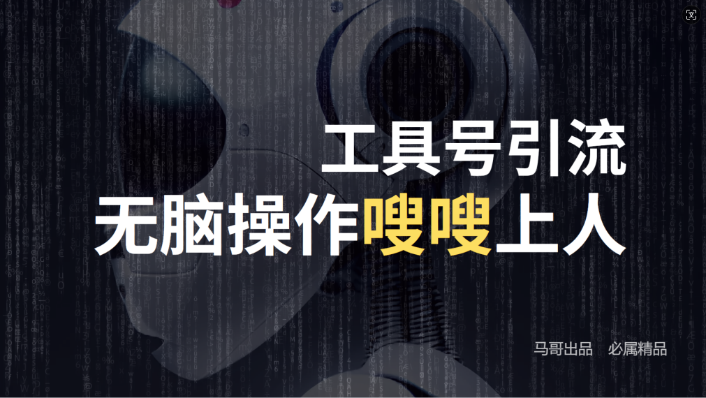 24年抖音最新工具号日引流300+创业粉，日入5000+-小鹏项目网
