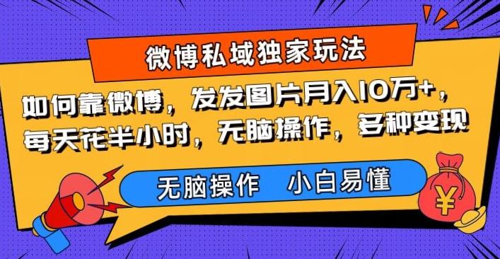如何靠微博，发发图片月入10万+，‌每天花半小时，无脑操作，多种变现-小鹏项目网