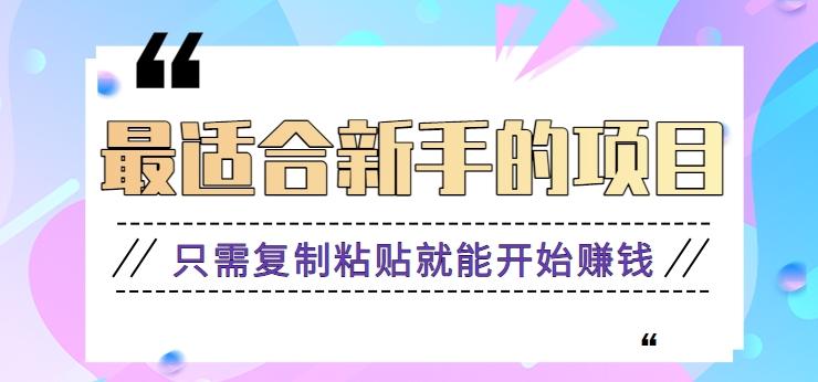 2024最适合新手操作的项目，新手小白只需复制粘贴就能开始赚钱【视频教程+软件】-小鹏项目网