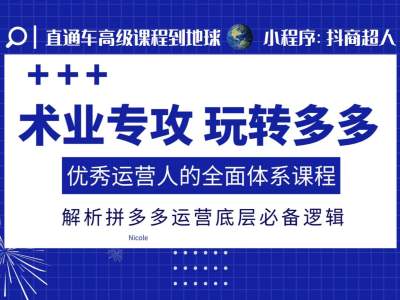 术业专攻玩转多多，优秀运营人的全面体系课程，解析拼多多运营底层必备逻辑-小鹏项目网