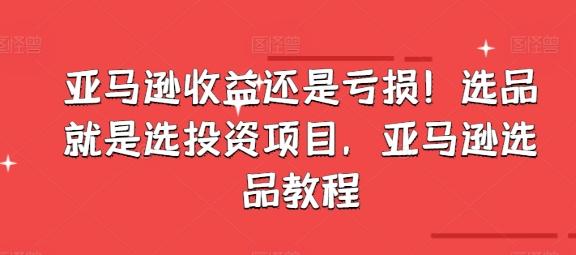 亚马逊收益还是亏损！选品就是选投资项目，亚马逊选品教程-小鹏项目网