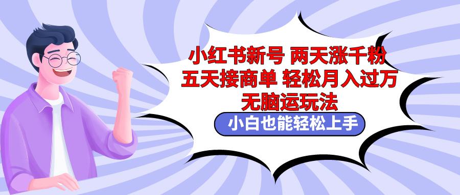 小红书新号两天涨千粉五天接商单轻松月入过万 无脑搬运玩法 小白也能轻…-小鹏项目网