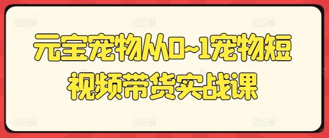 元宝宠物从0~1宠物短视频带货实战课-小鹏项目网