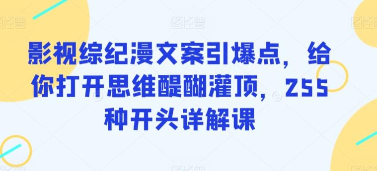 影视综纪漫文案引爆点，给你打开思维醍醐灌顶，255种开头详解课-小鹏项目网