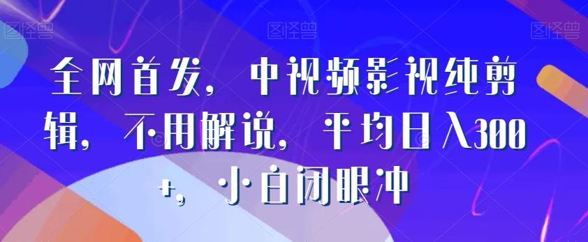 全网首发，中视频影视纯剪辑，不用解说，平均日入300+，小白闭眼冲-小鹏项目网