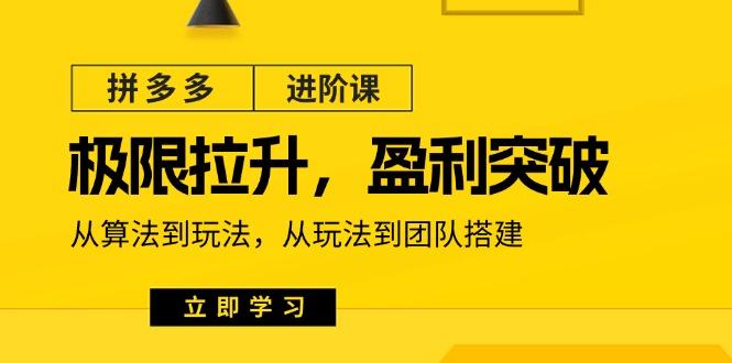 拼多多·进阶课：极限拉升/盈利突破：从算法到玩法 从玩法到团队搭建-18节-小鹏项目网