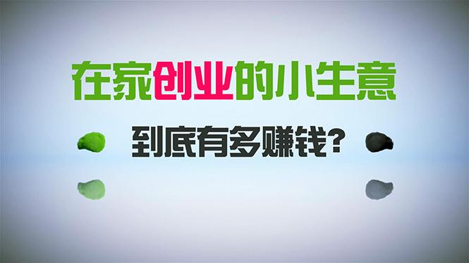 在家创业，日引300+创业粉，一年收入30万，闷声发财的小生意，比打工强-小鹏项目网