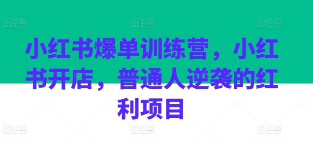 小红书爆单训练营，小红书开店，普通人逆袭的红利项目-小鹏项目网